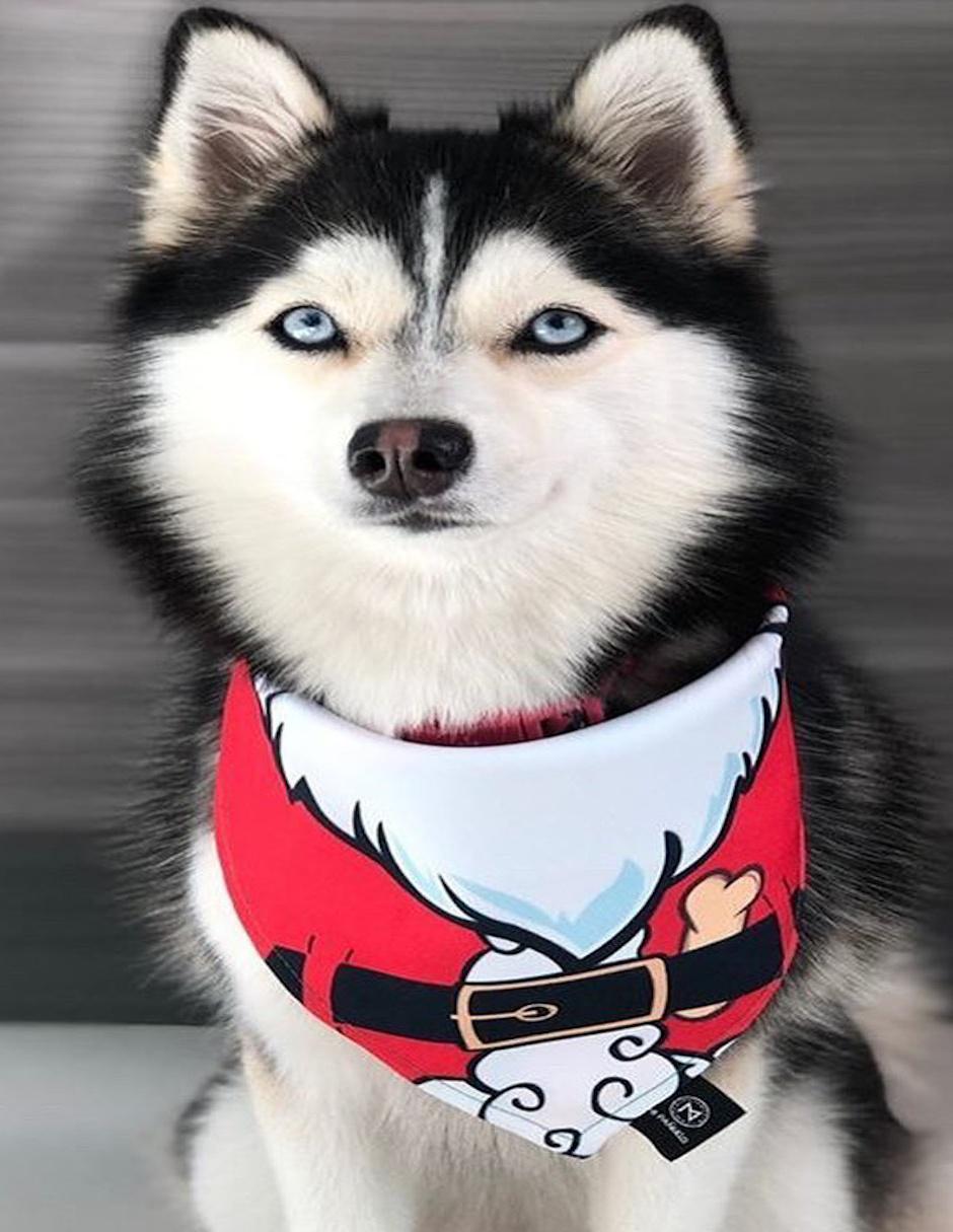 Pañuelo para mascotas Navidad doble vista 4