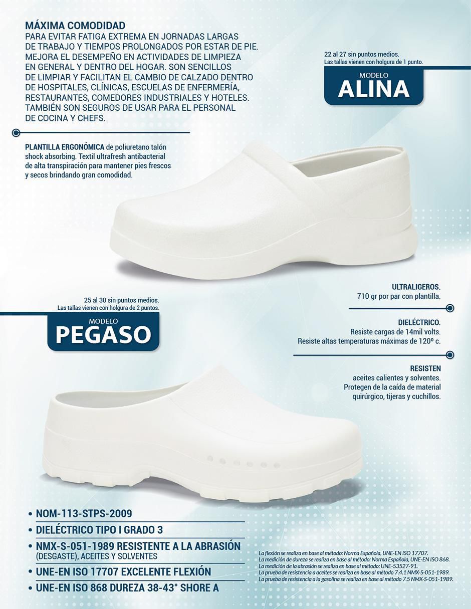 Zapato para mujer 10