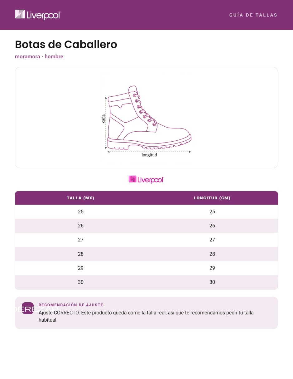 Bota industrial 5