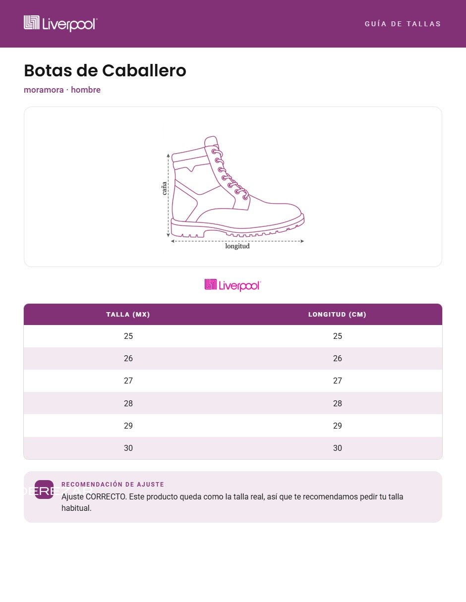 Bota industrial 5